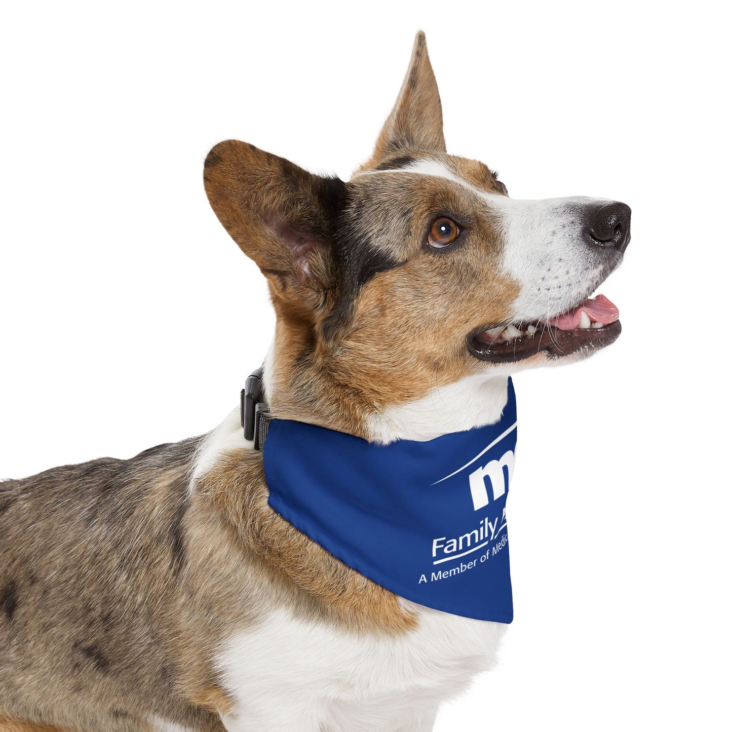Pet Bandana Collar - Family Health Clinic