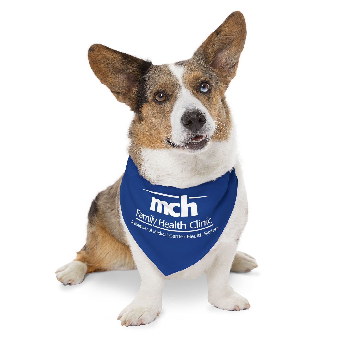 Pet Bandana Collar - Family Health Clinic