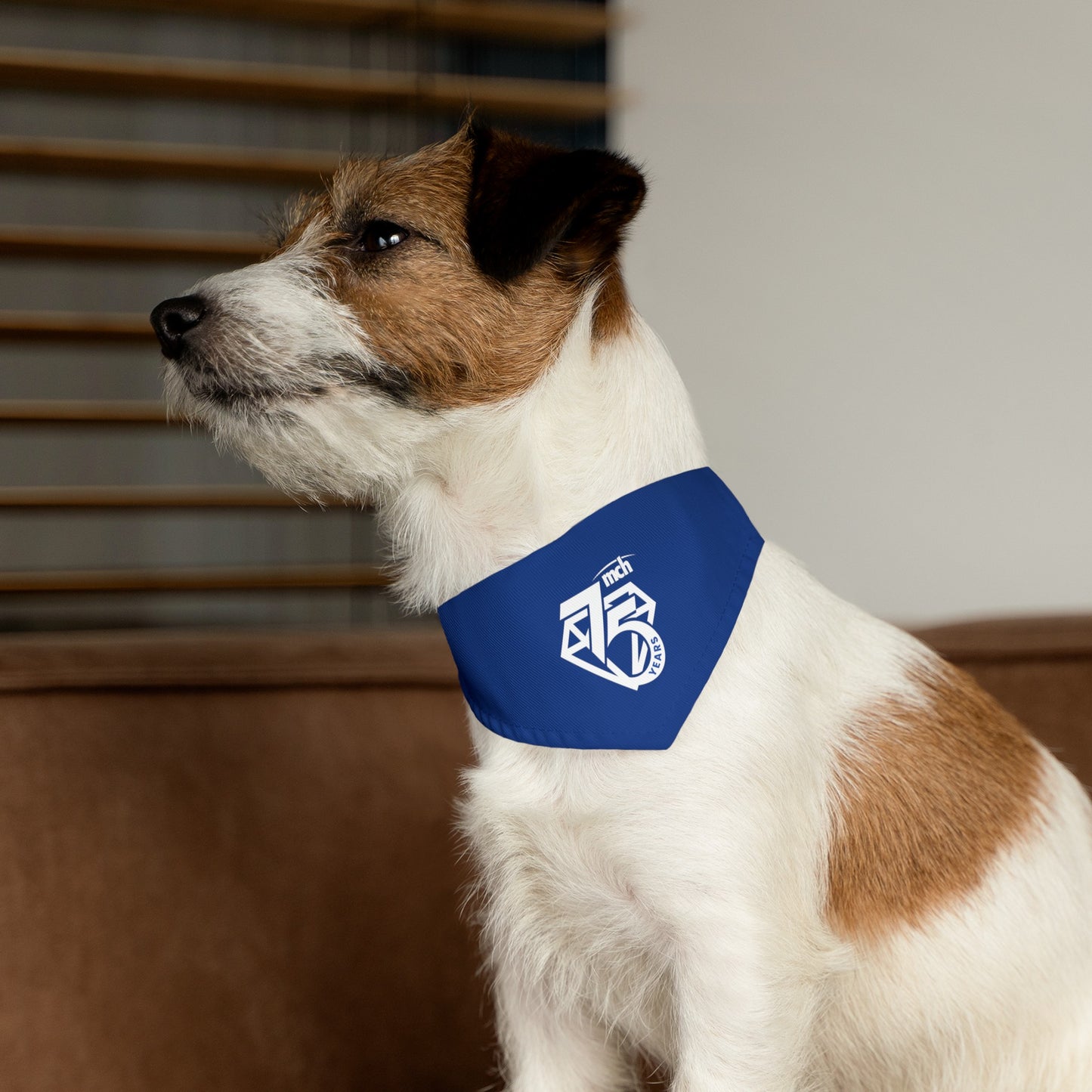 Pet Bandana Collar - 75th Anniversary