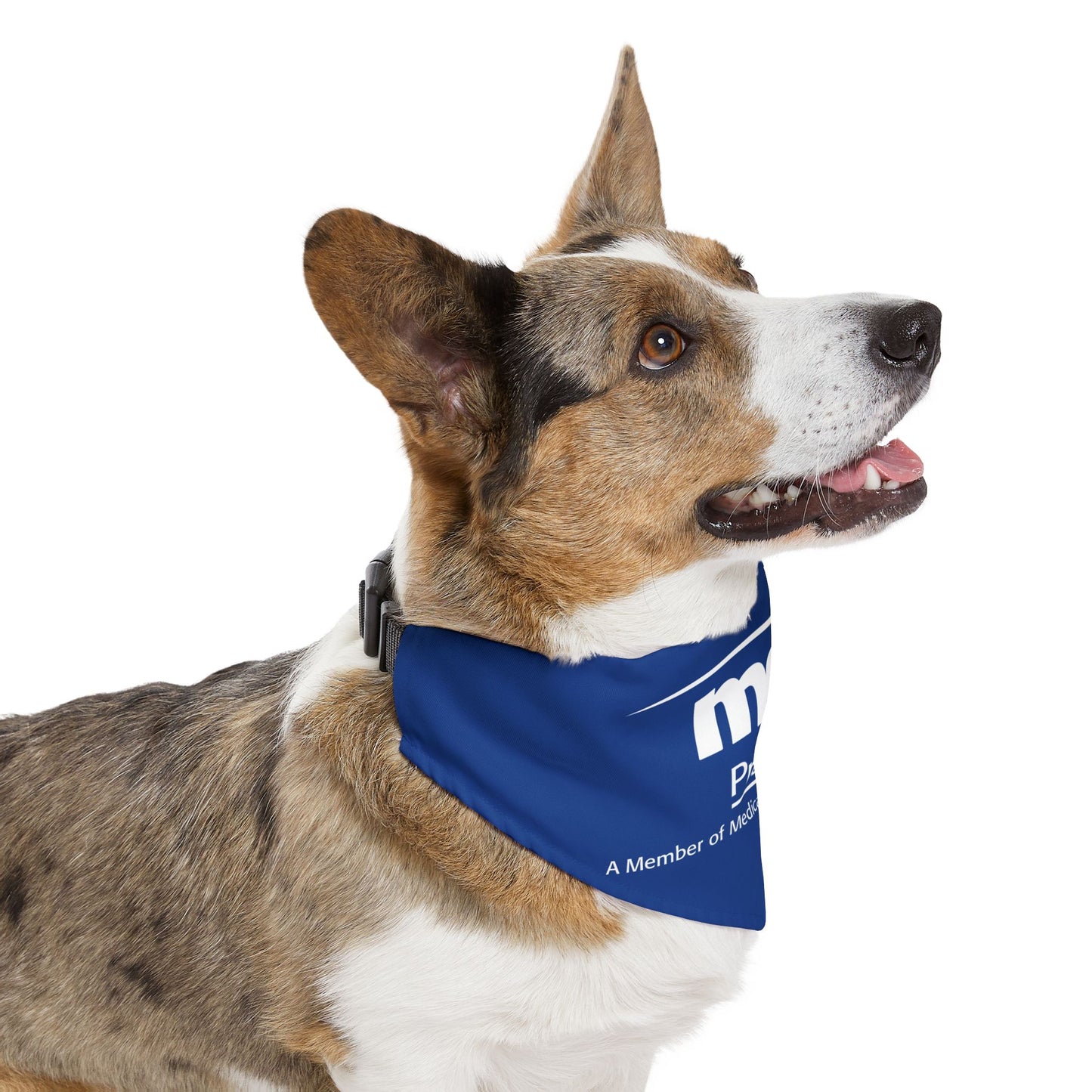 Pet Bandana Collar - Urgent Care