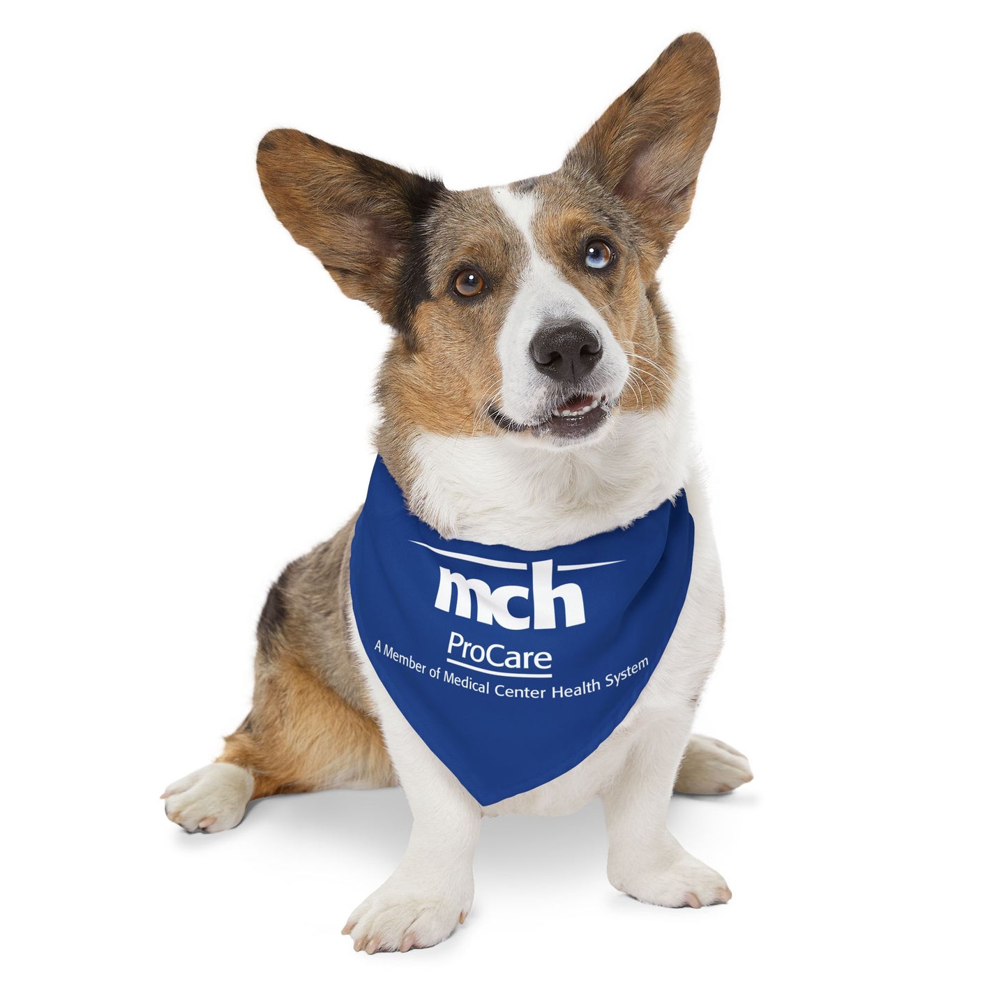 Pet Bandana Collar - Urgent Care