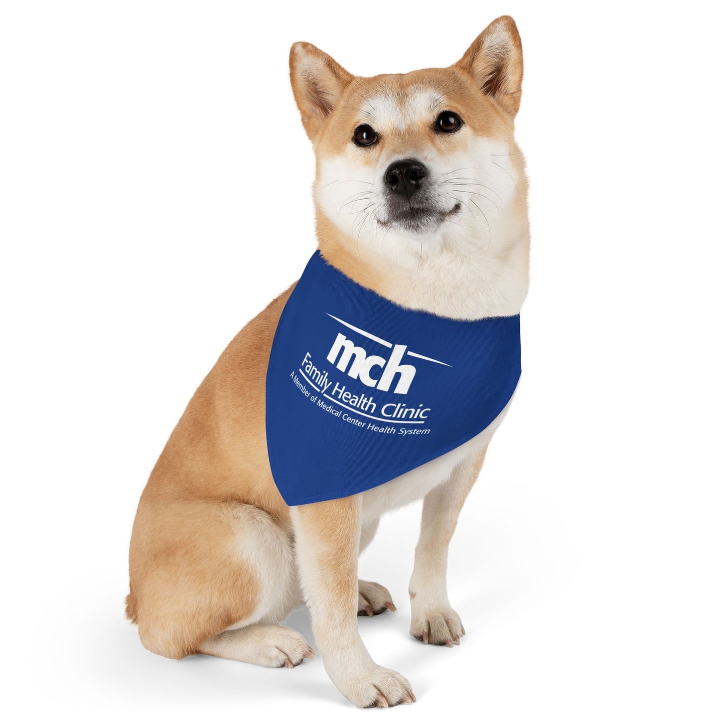 Pet Bandana Collar - Family Health Clinic