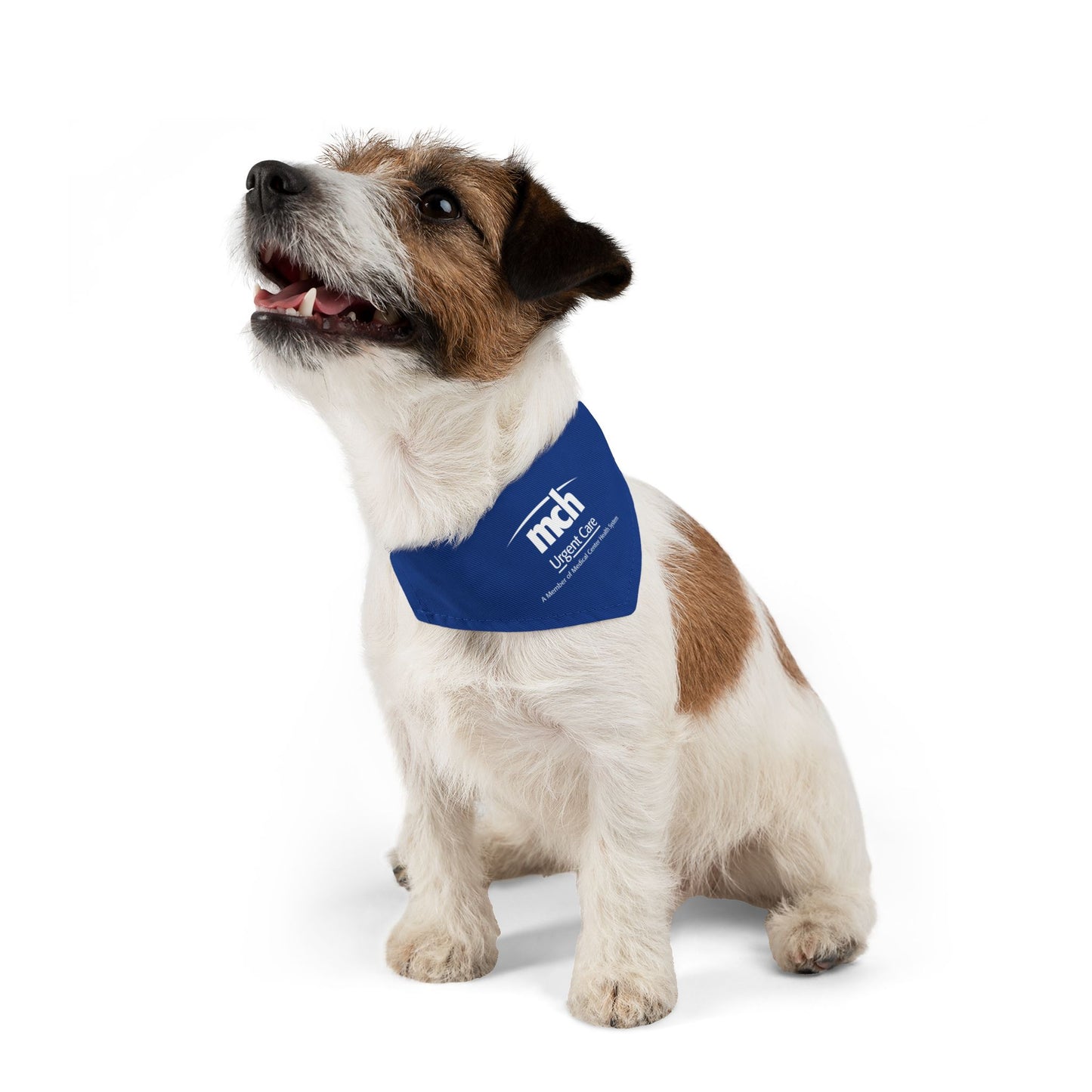 Pet Bandana Collar - Urgent Care