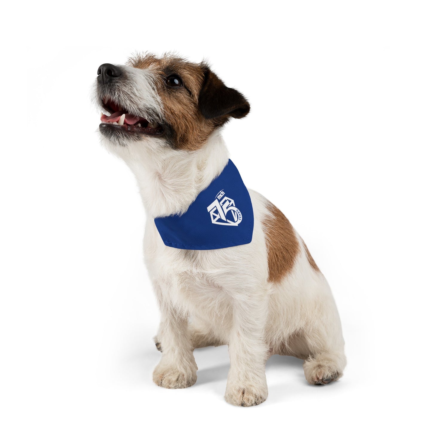 Pet Bandana Collar - 75th Anniversary