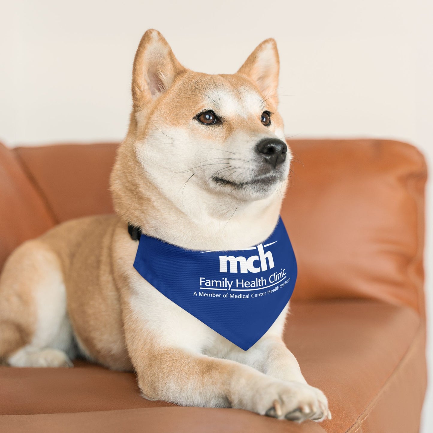Pet Bandana Collar - Family Health Clinic