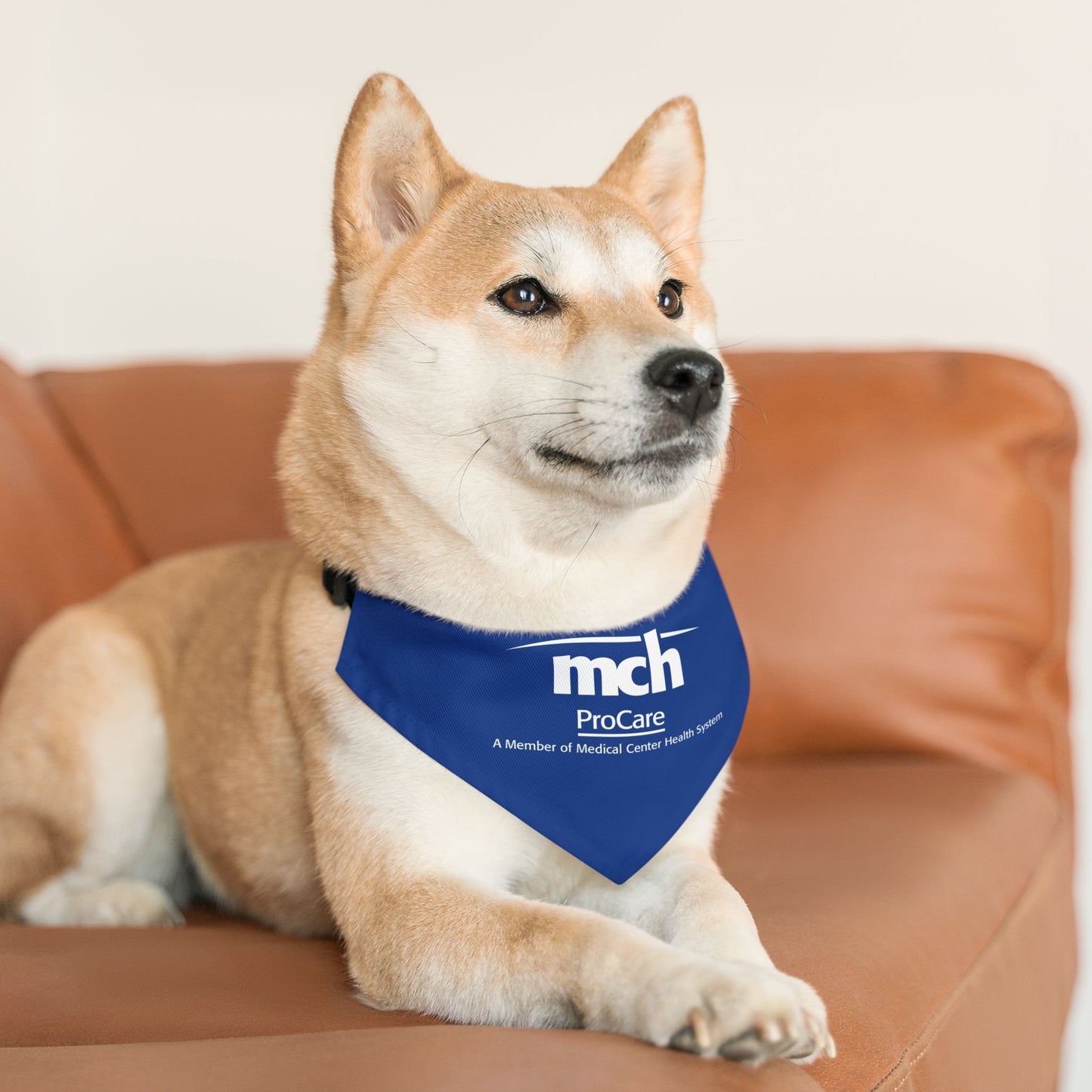 Pet Bandana Collar - Urgent Care