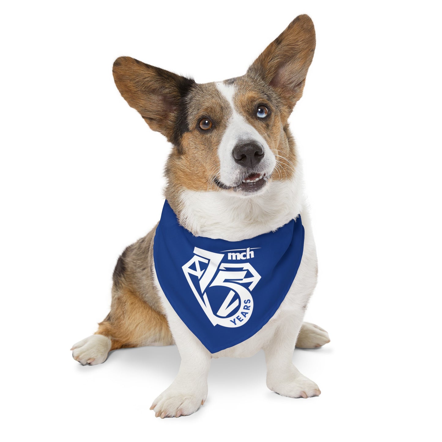 Pet Bandana Collar - 75th Anniversary