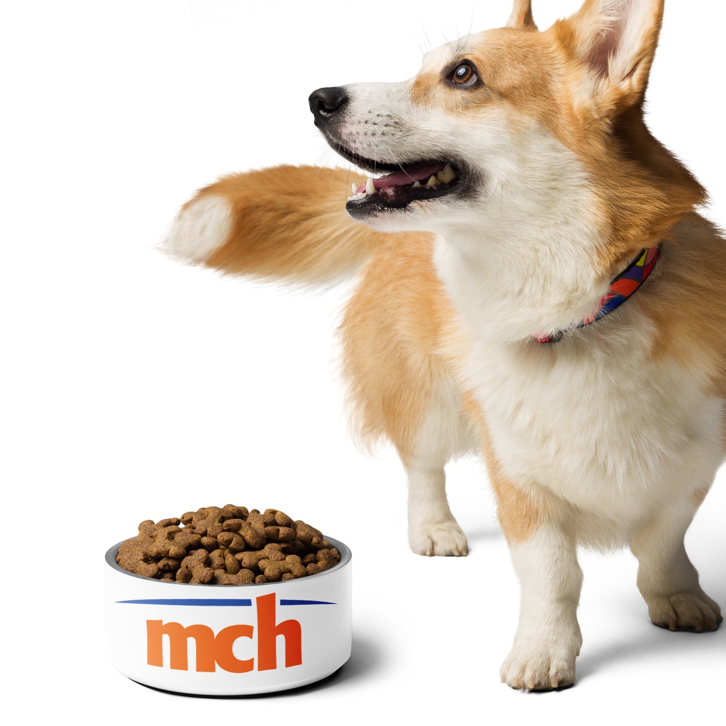 Pet bowl - Medical Center Health System Store