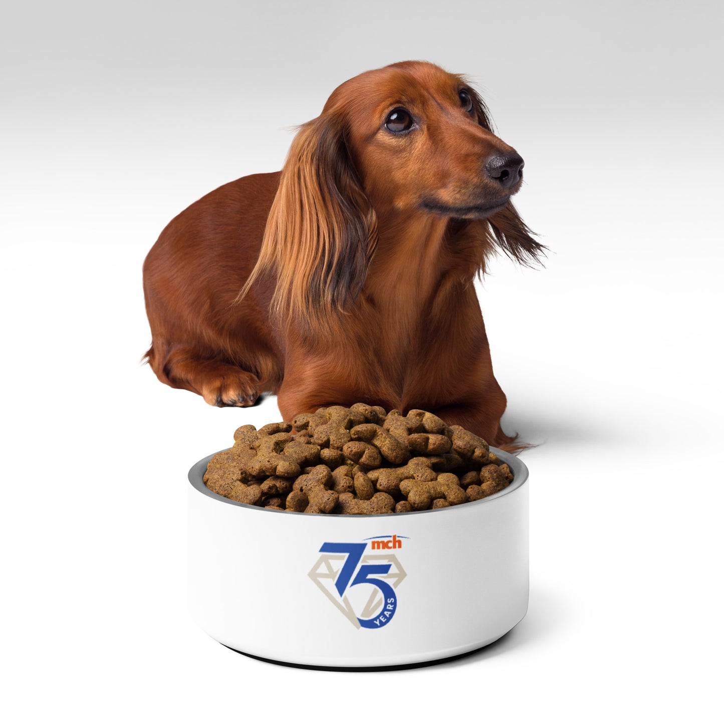 Pet bowl - 75th Anniversary