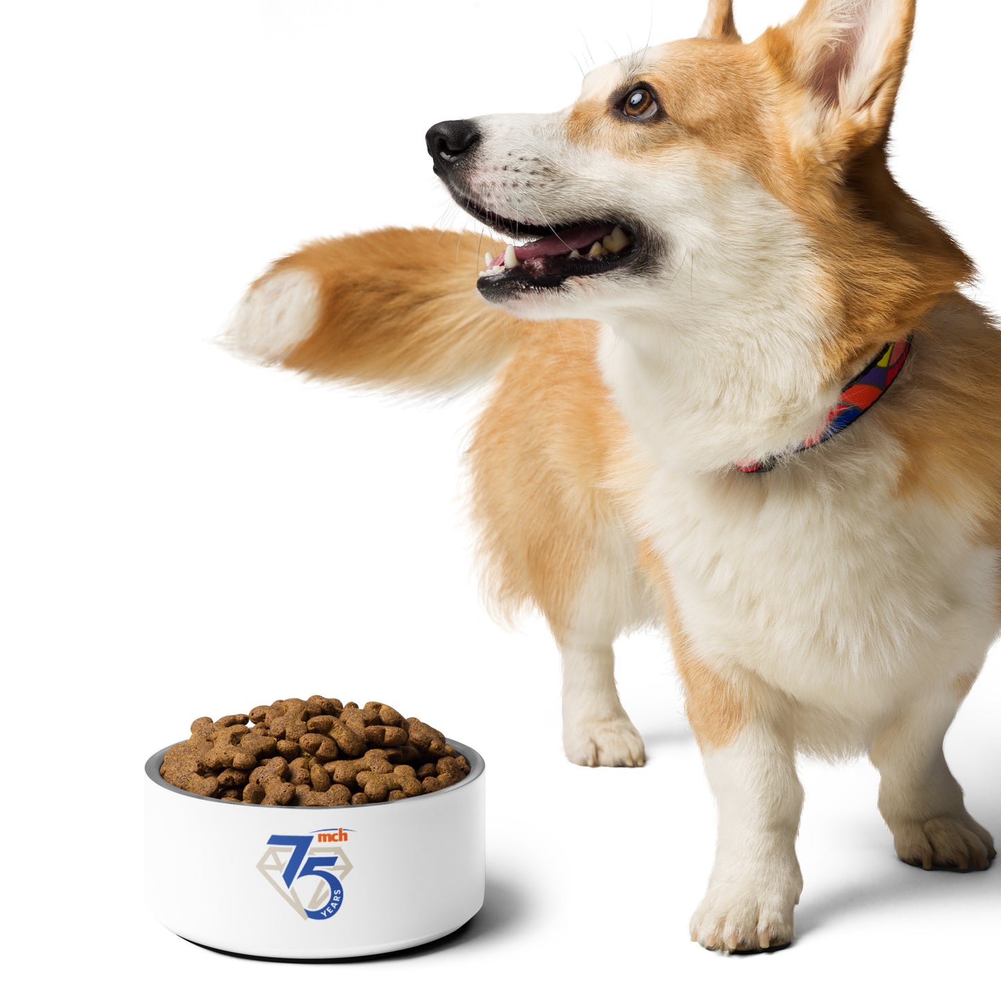 Pet bowl - 75th Anniversary